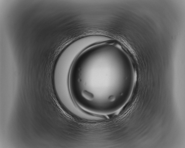 X0000116800433200912241204