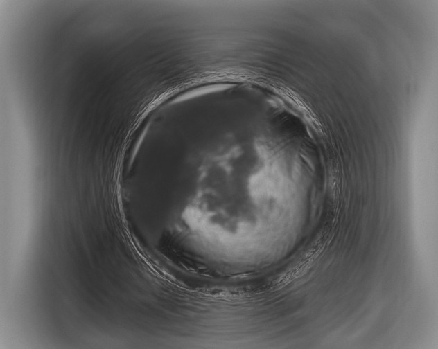 X0000116800434200912241204