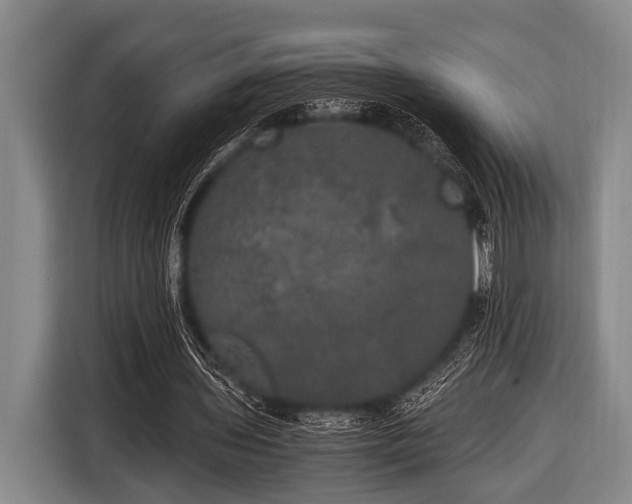 X0000116800435200912241204