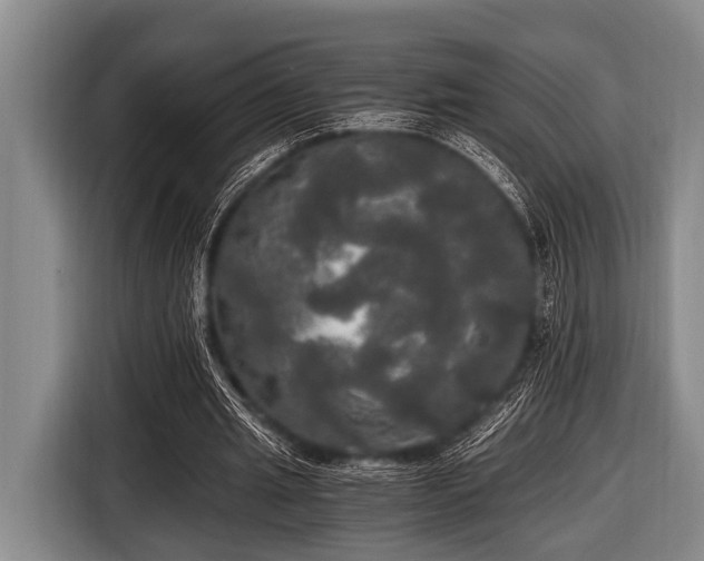 X0000116800437200912241204