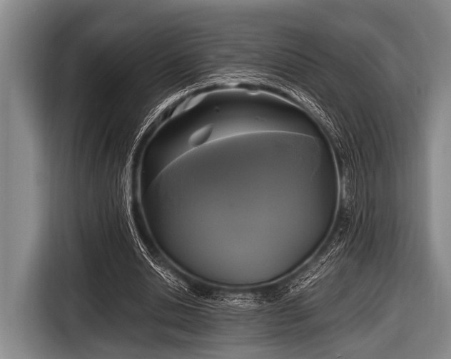 X0000116800438200912241204