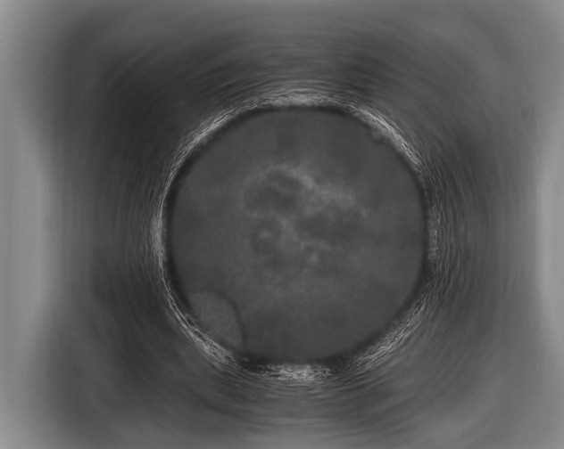 X0000116800439200912241204