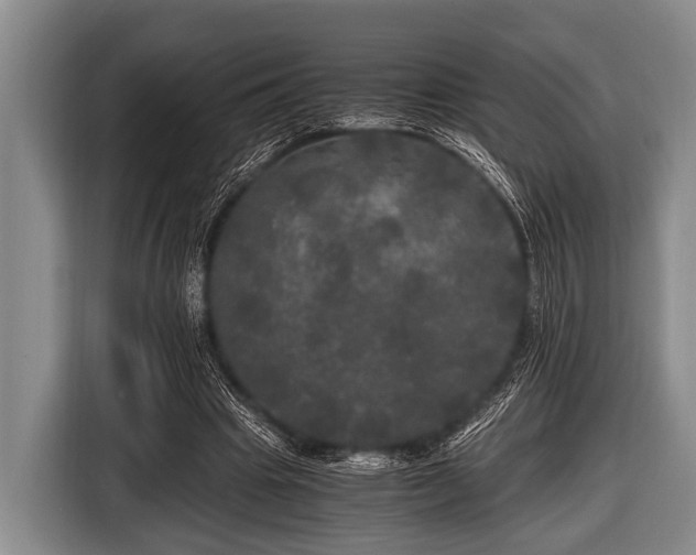 X0000116800441200912241204