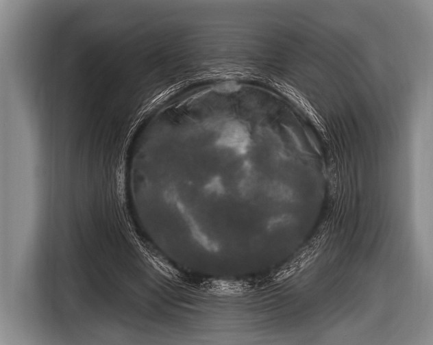 X0000116800442200912241204