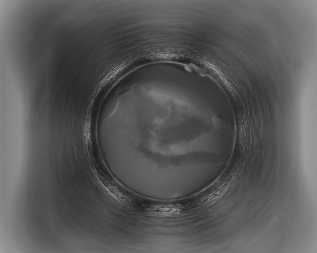 X0000116800443200912241204