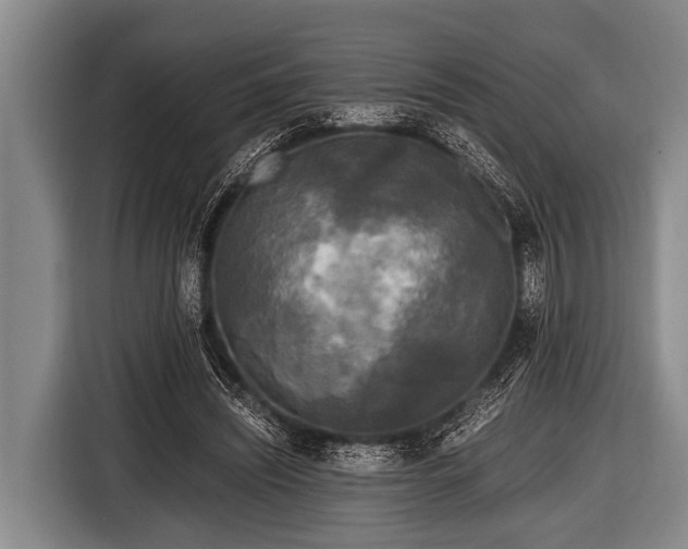 X0000116800444200912241204