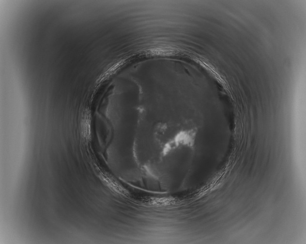 X0000116800446200912241204