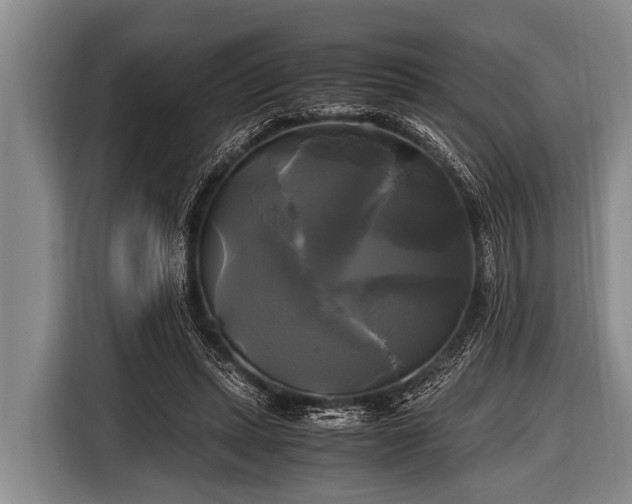 X0000116800447200912241204