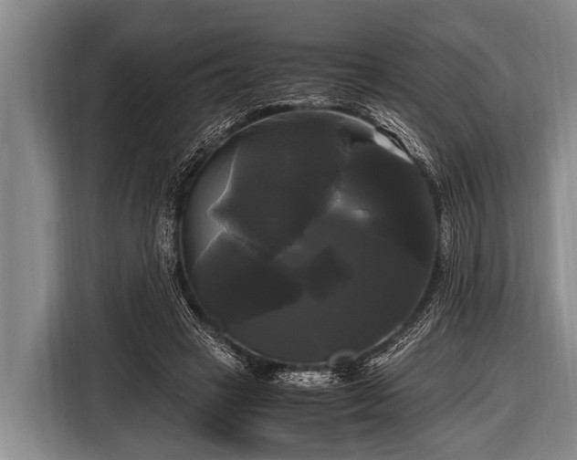 X0000116800449200912241204