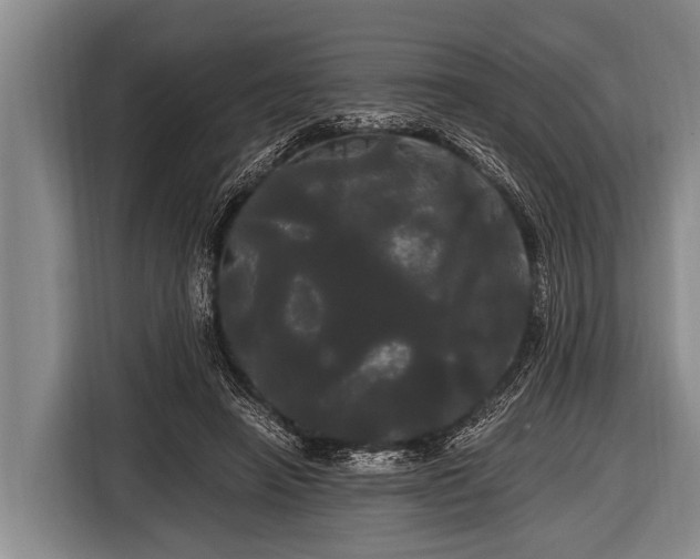 X0000116800450200912241204