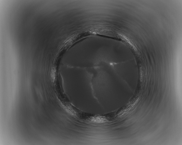 X0000116800451200912241204