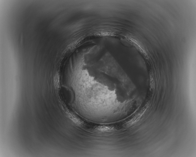 X0000116800453200912241204