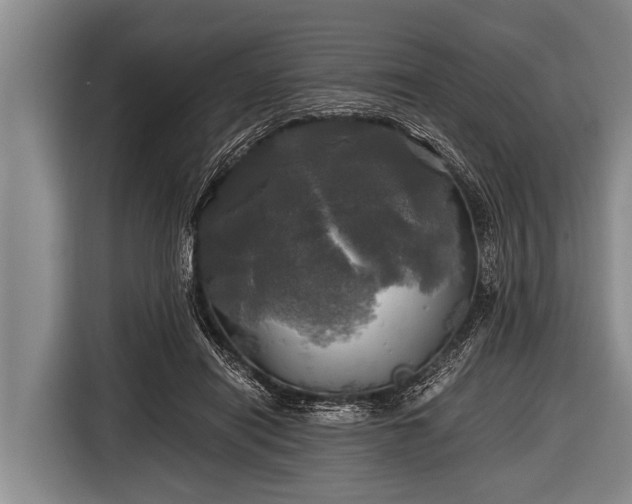 X0000116800454200912241204