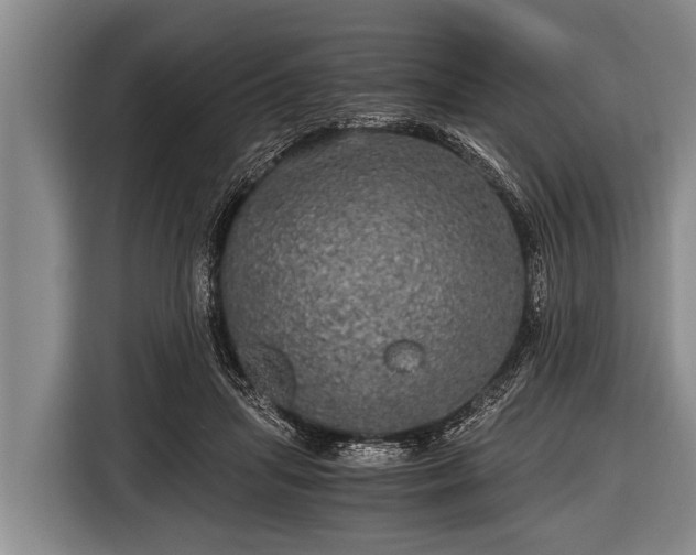 X0000116800455200912241204