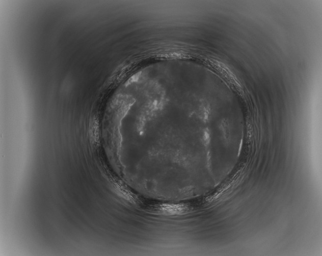 X0000116800457200912241204