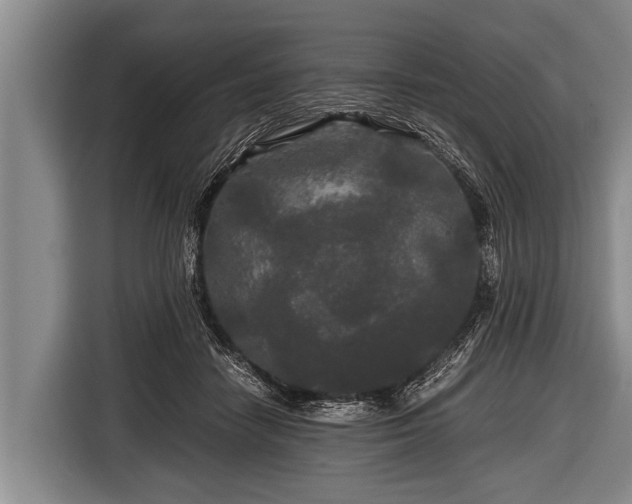 X0000116800458200912241204