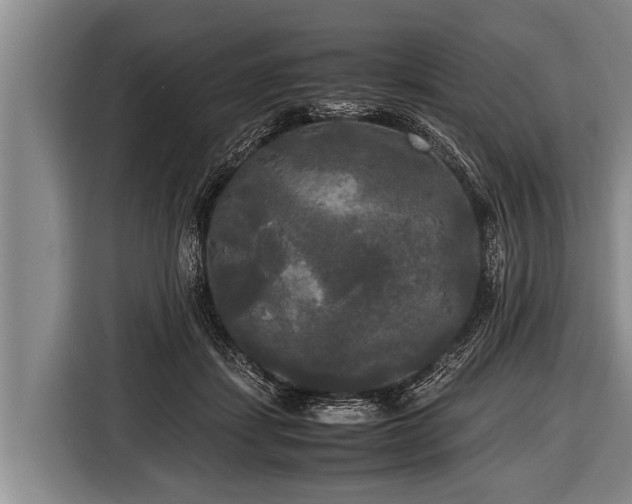 X0000116800459200912241204