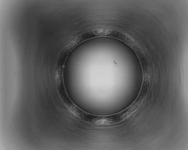 X0000116800460200912241204