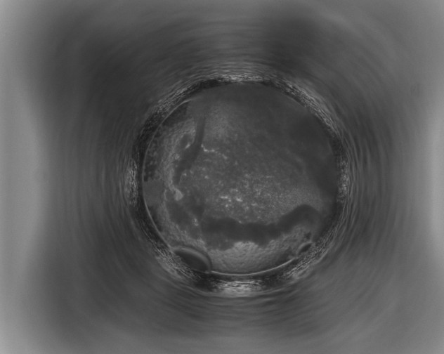 X0000116800461200912241204