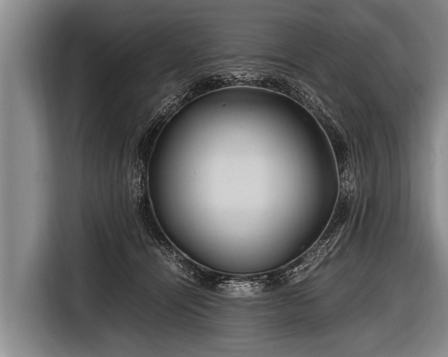 X0000116800464200912241204