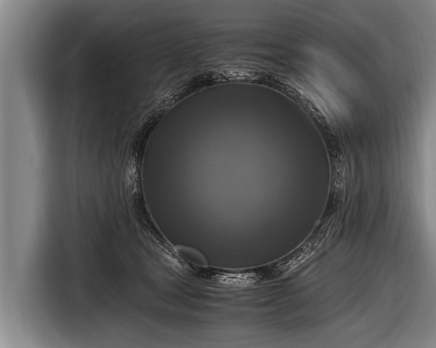 X0000116800465200912241205