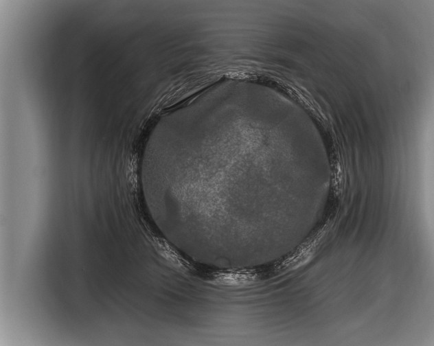 X0000116800466200912241205