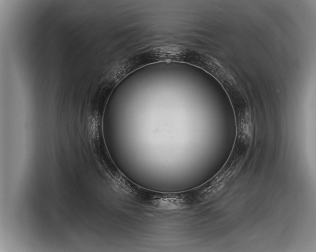 X0000116800468200912241205