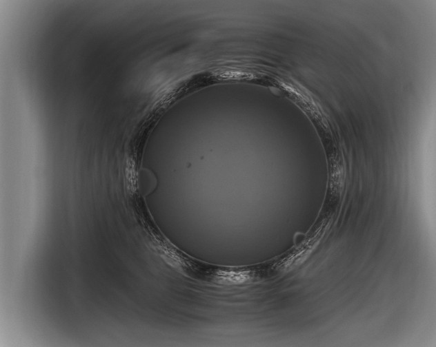 X0000116800469200912241205