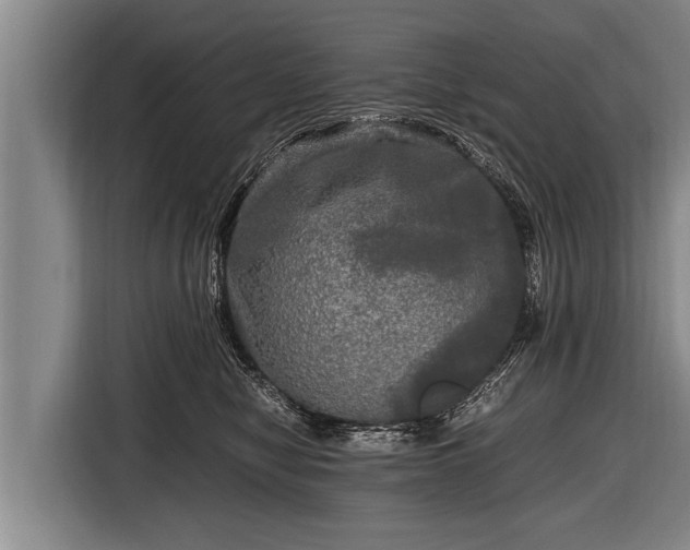 X0000116800470200912241205