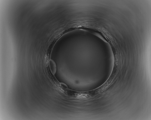 X0000116800471200912241205