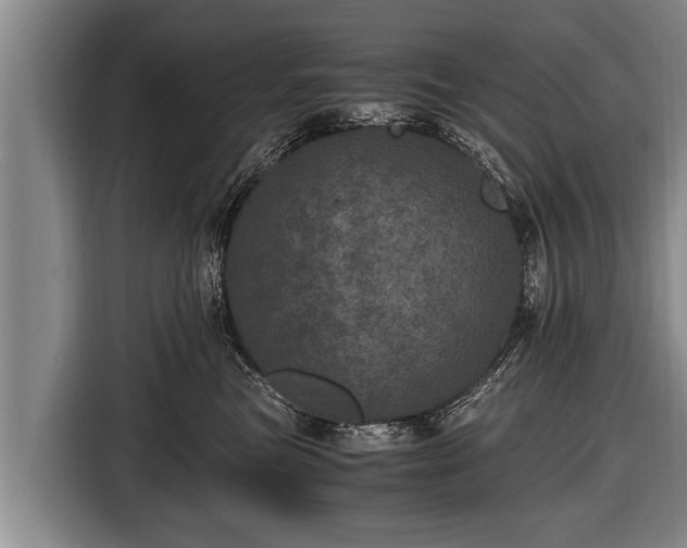 X0000116800473200912241205