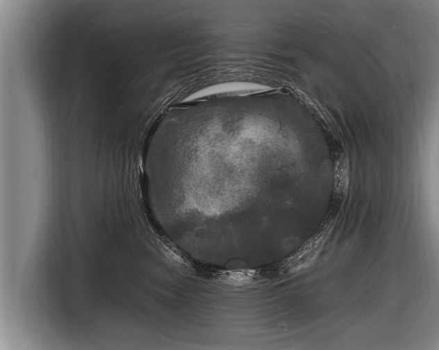 X0000116800474200912241205