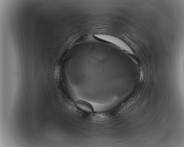 X0000116800475200912241205