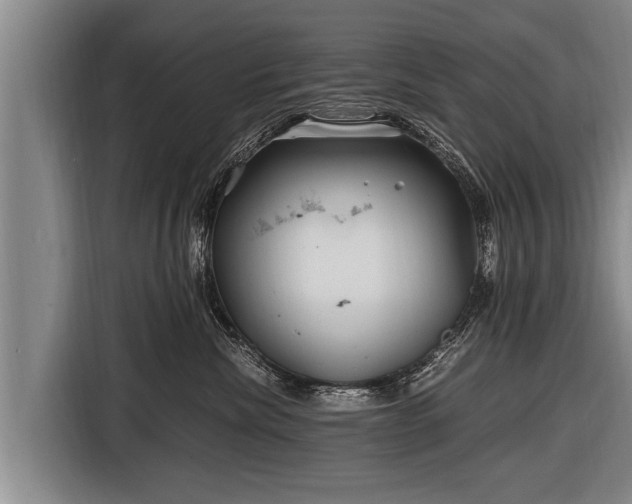 X0000116800476200912241205