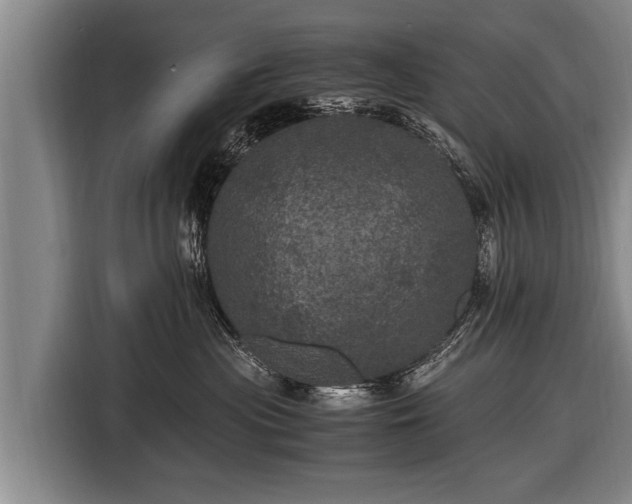 X0000116800477200912241205