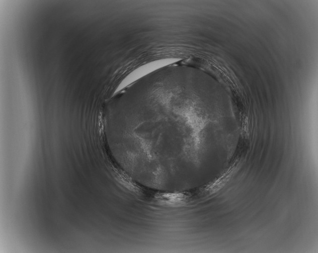 X0000116800478200912241205