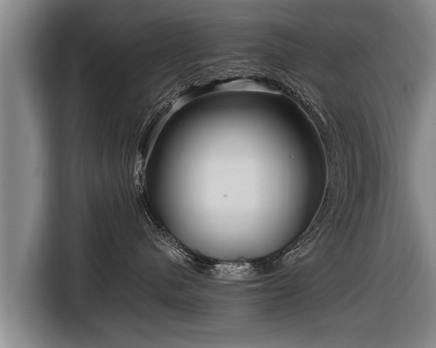 X0000116800480200912241205