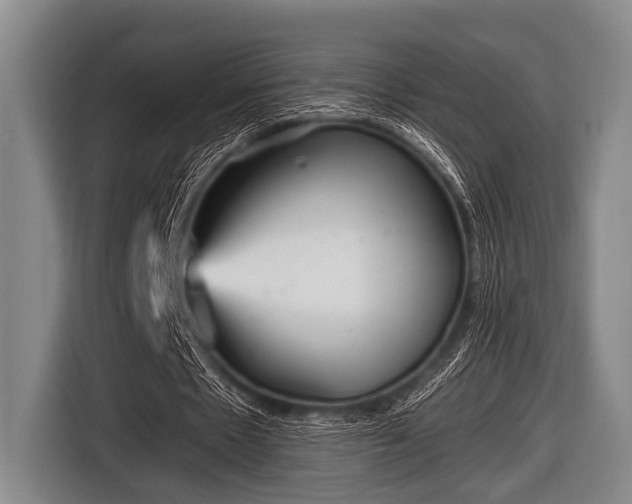 X0000116800481200912241204