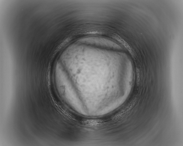 X0000116800482200912241204