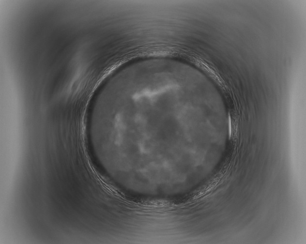 X0000116800483200912241204