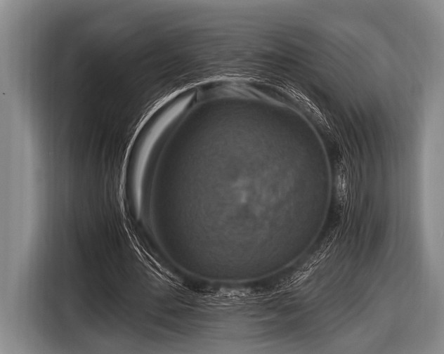 X0000116800484200912241204