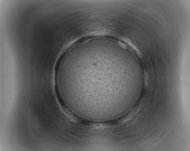 X0000116800486200912241204