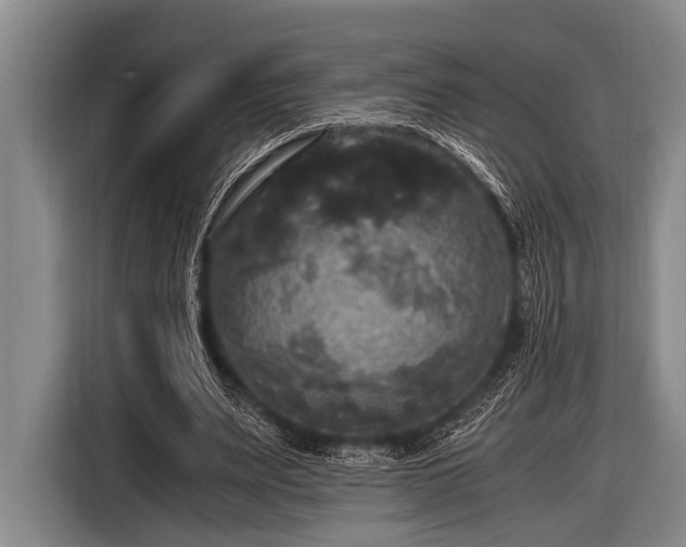 X0000116800487200912241204