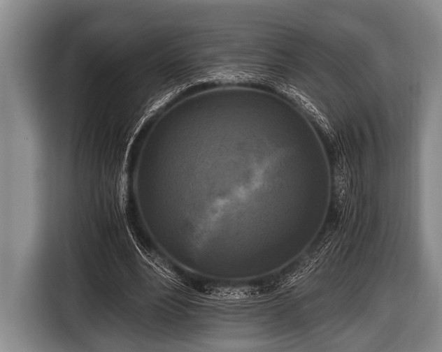 X0000116800488200912241204