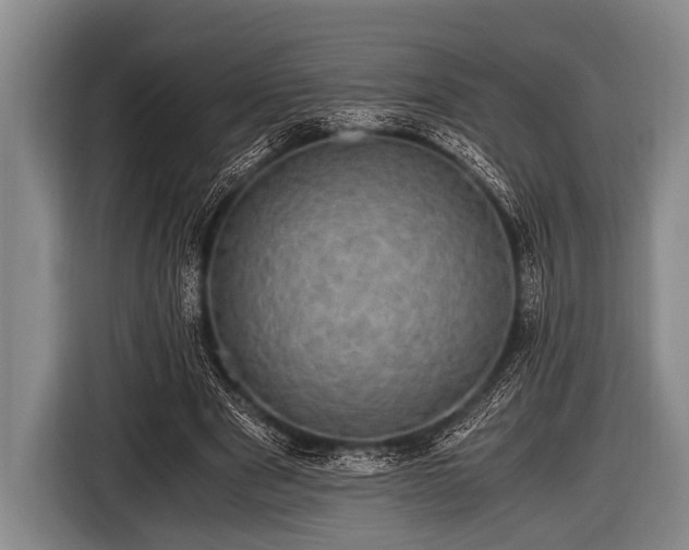 X0000116800489200912241204