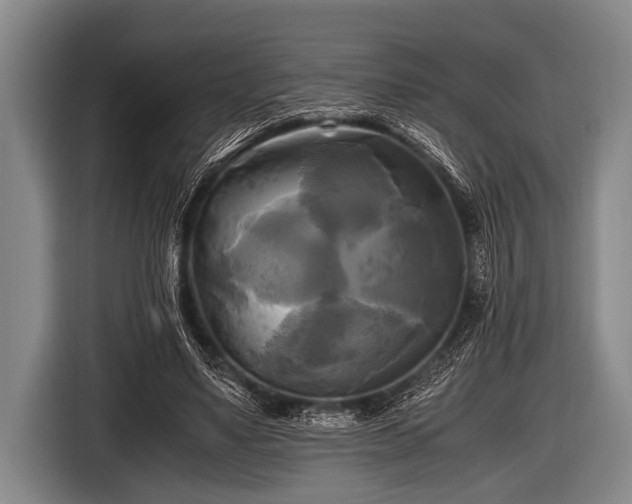 X0000116800491200912241204