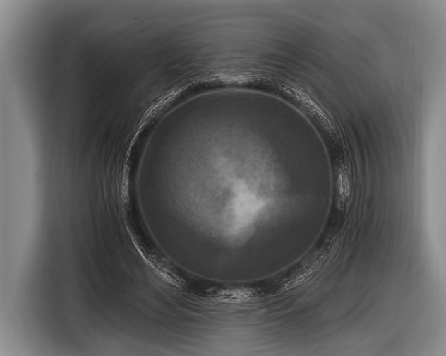 X0000116800492200912241204