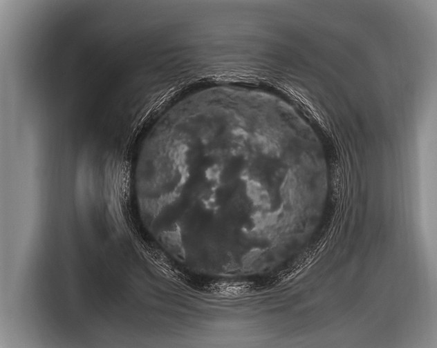 X0000116800495200912241204