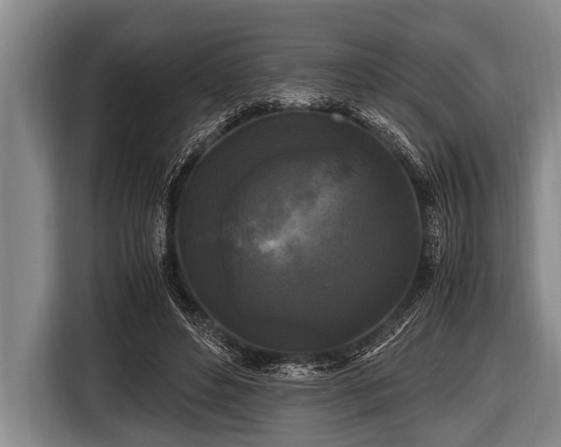 X0000116800496200912241204