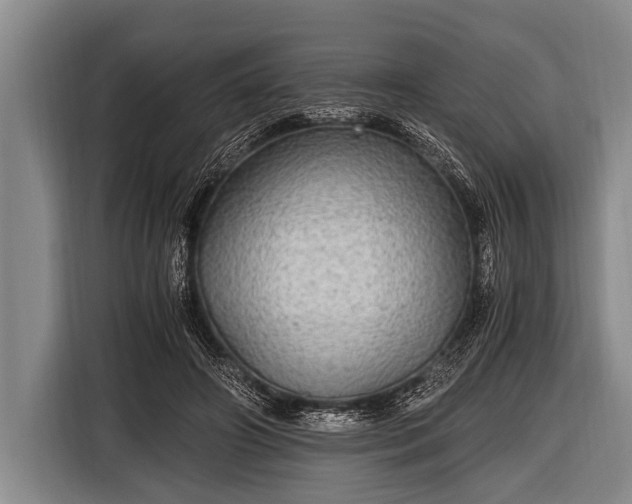 X0000116800498200912241204